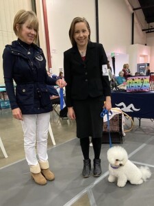 Bichon Frise Ariel being awarded her Tick Dog Novice title