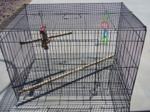 Bird Cage size 23" long 16" wide & 14" high
