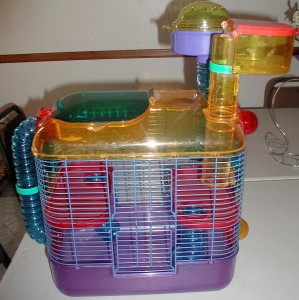 Larger Cage