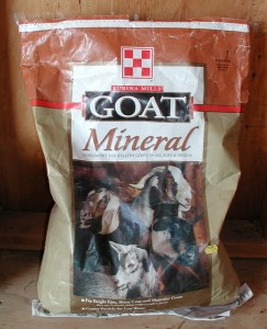 Goat mineral salt