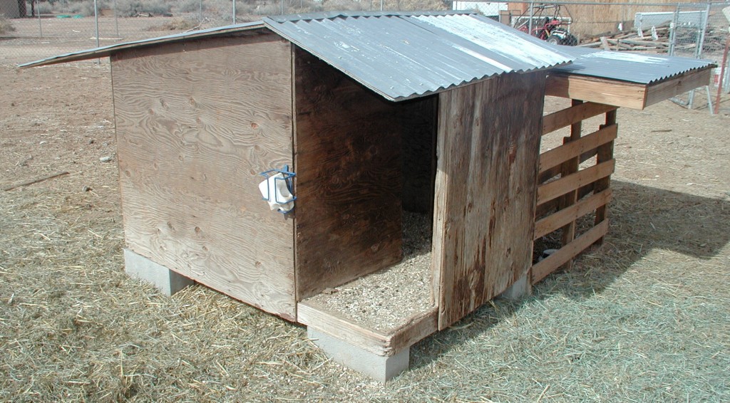 Goat shelter front view