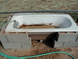 Large bath tub used as a horse water trough