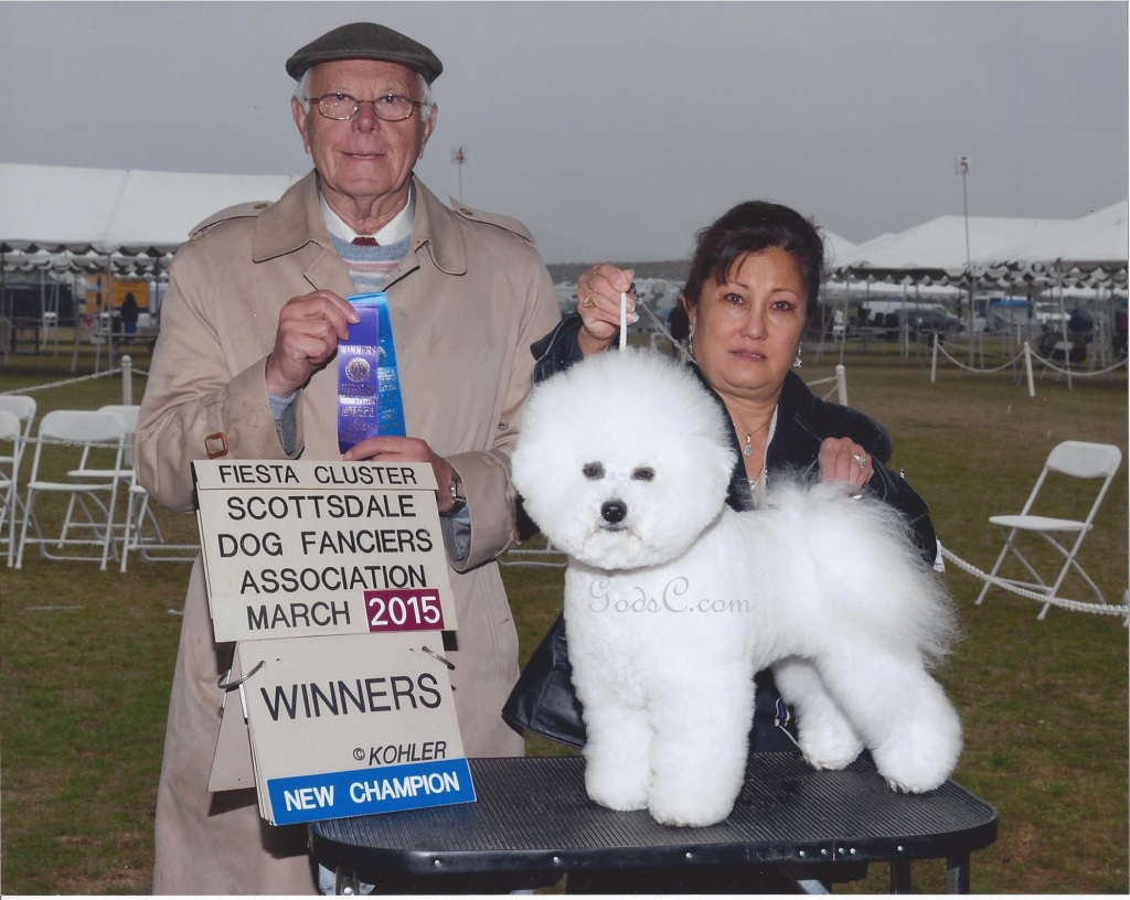 GodsC.com Xerxes' Finished Champion Winners dog in AZ at Scottdales Dog Fanciers Association