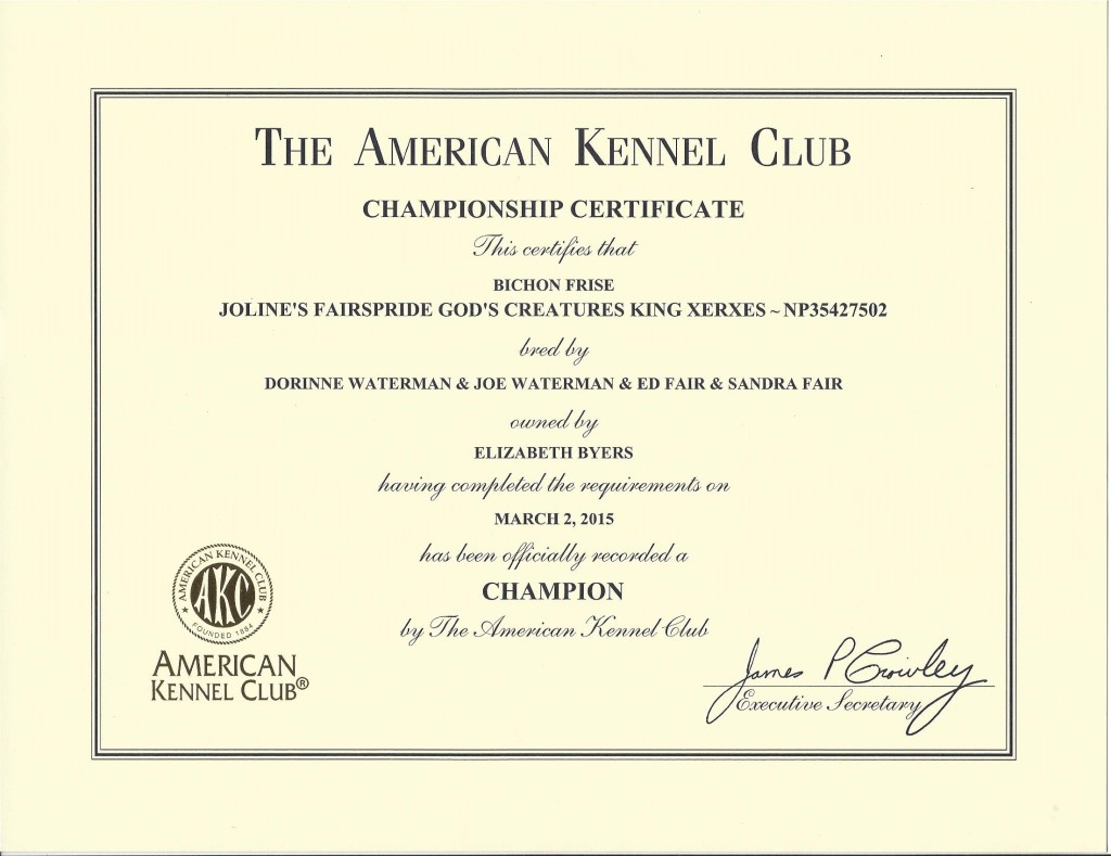 Xerxes' Championship Certificate