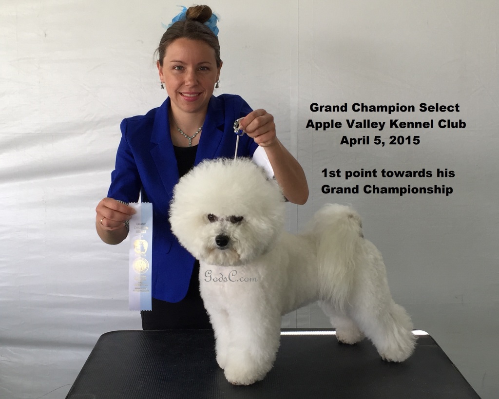 Xerxes Select Apple Valley Kennel Club 4-5-15