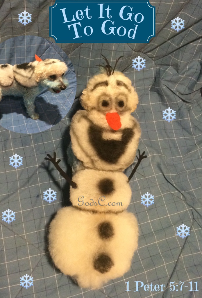 Cody the Bichon Frise Mix as Olaf from Disneys Frozen Creative Grooming p1