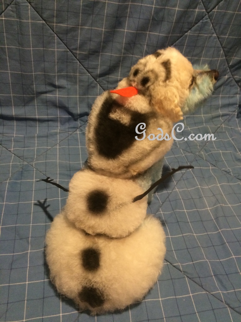 Cody the Bichon Frise Mix as Olaf from Disneys Frozen Creative Grooming p5